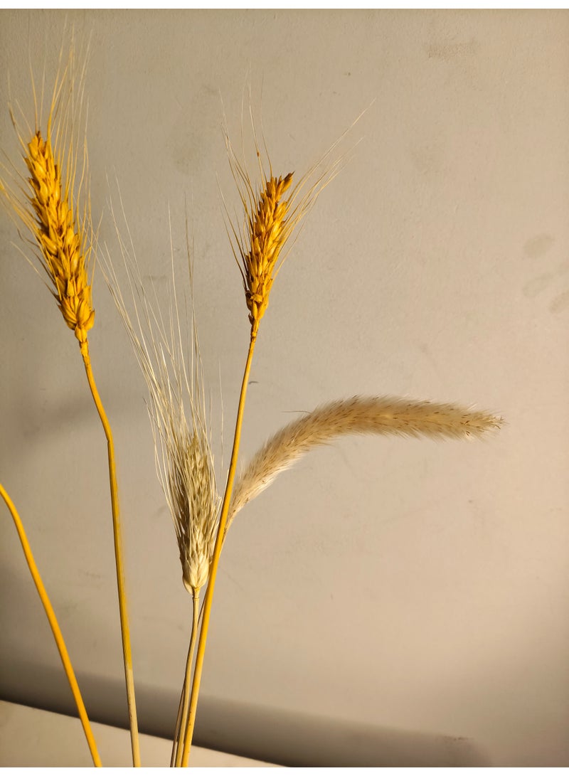 كلوك مزهرية ألفيو البيضاء  (تشمل نبات مجفف) - Image 4